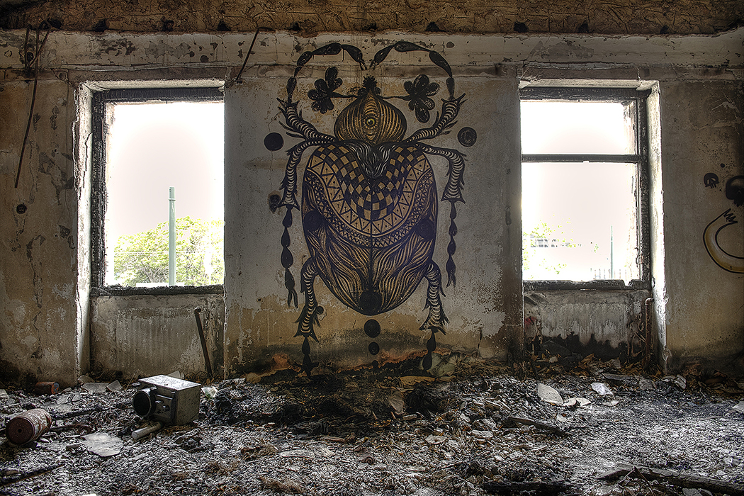 graffiti, street art, athens, urban art, Greek artist, painting, artwork, dimitris ntokos, lives in Athens, scarab, scarabeus, beetle, dimitris dokos, canvas, contemporary art, modern art, art, beetle, optic art, art